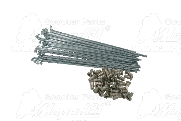 Spoke BABETTA 207 / 210 / 225 M3x160 (451920751003) + Spoke nut (311945302030) EAST ZONE